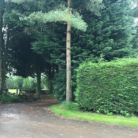 The Stables Near Glasgow Balmore Екстериор снимка